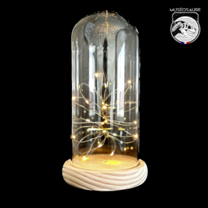 Lumineuse